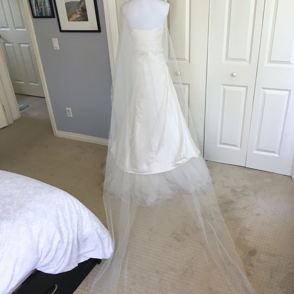 COPY - Vera Wang Cathedral Wedding Veil